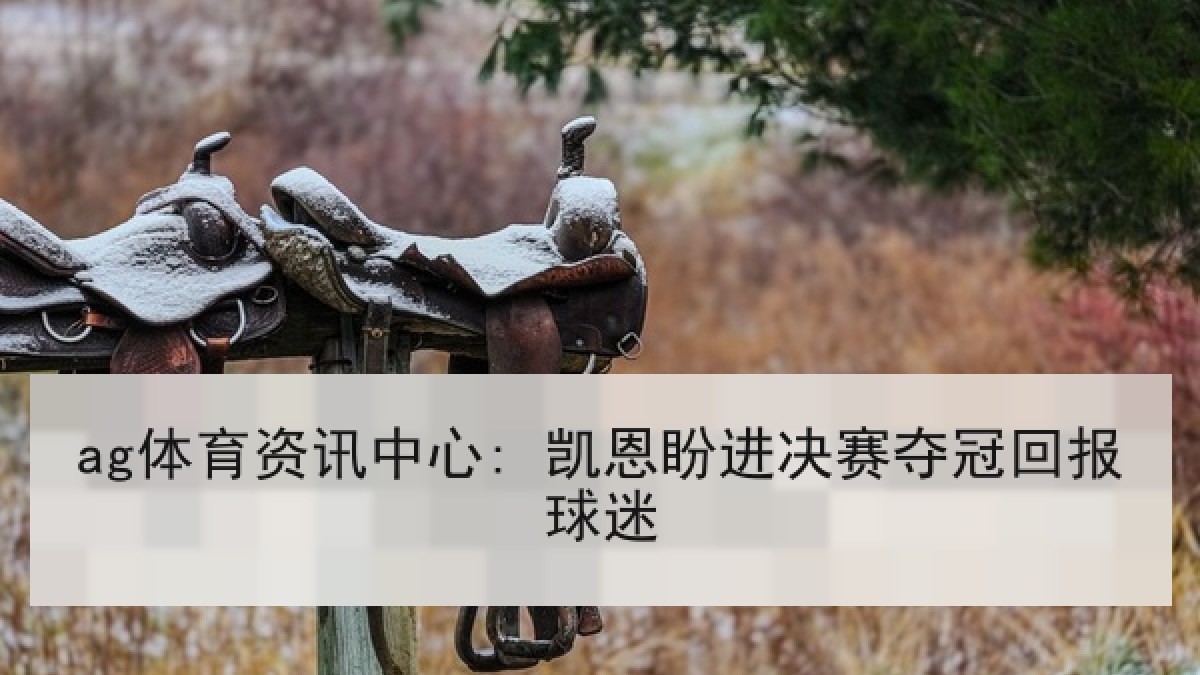 ag体育资讯中心: 凯恩盼进决赛夺冠回报球迷